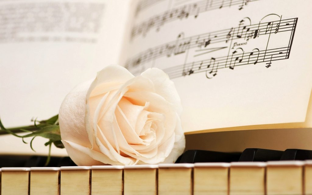 piano-white-rose-1280x800